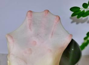 揉出有韧性不易破的手套膜即可。