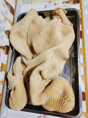 老公买回来的牛肚，还有两个毛肚，已经让店家帮忙处理干净了，拿来回来我直接清洗一下就可以拿来卤了！