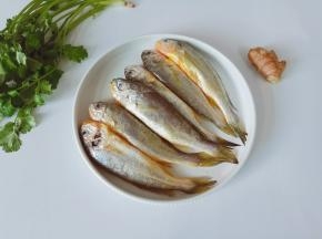 挑选新鲜的小梅鱼，看鱼鳃鲜艳说明就是新鲜的。