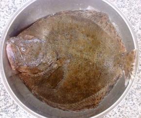 新鲜的多宝鱼去除内脏洗净沥干水份