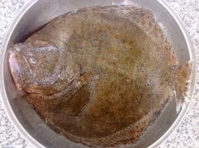新鲜的多宝鱼去除内脏洗净沥干水份