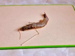 借助牙签将虾线挑出来，依次做好。