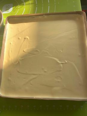 抹平面糊表面，20厘米距离震盘，震出大气泡