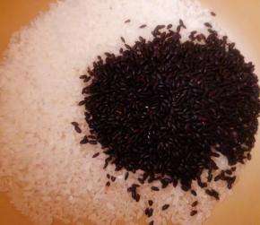 新鲜的大米和黑米淘洗干净放入容器中