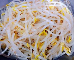 豆芽洗净放入开水中焯水断生后立即放入冷水中过凉沥干水份切记焯水时间不宜过长