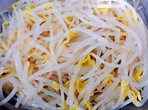 豆芽洗净放入开水中焯水断生后立即放入冷水中过凉沥干水份切记焯水时间不宜过长