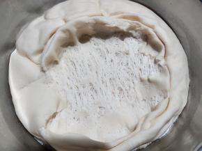 面团发到2-2.5倍大，扒开面团，可以看到内部充满蜂窝状的大孔，面团就发酵好了。