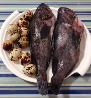 新鲜的鹌鹑蛋、黑鱼摘去鱼鳃和内脏清洗干净