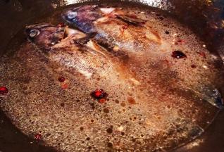 添加适量清水大火炖起来