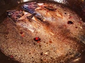 添加适量清水大火炖起来