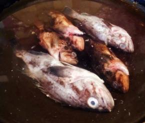 锅中倒入适量清水放入处理干净的黑鱼大火煮起来