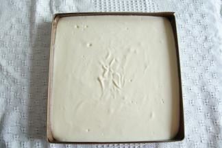 拌匀的面糊从20CM左右高度，倒入垫好油布的28*28烤盘中，晃平或者用刮板刮平，提起从高处振2下振出大气泡。