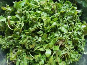 荠菜择洗干净，因为是野菜土比较多，一定要多清洗几遍。