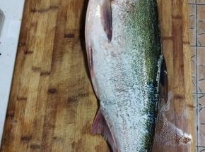 鲢鱼去腮，去牙齿，去内脏，去黑膜，清洗干净备用！