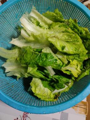 生菜清洗干净，沥干水分备用！