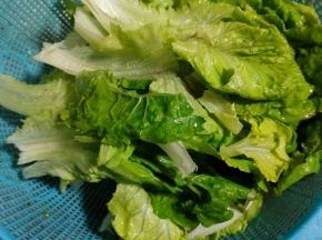 生菜清洗干净，沥干水分备用！