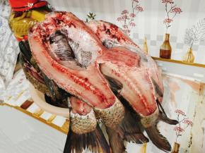 全部处理好的鱼控干水分备用！