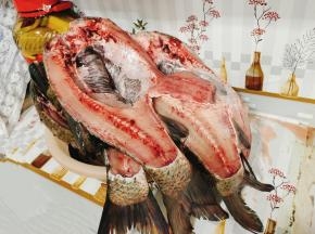 全部处理好的鱼控干水分备用！