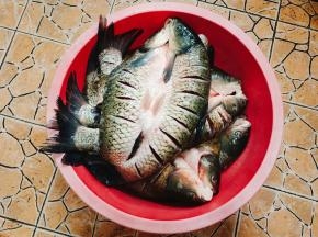 在草鱼两面划几刀，方便腌制入味儿！