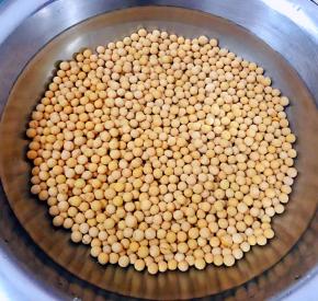 黄豆冲洗一下添加适量清水浸泡一夜