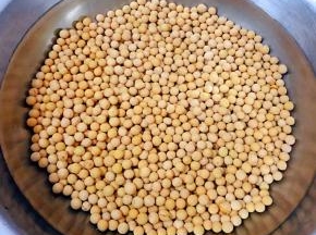 黄豆冲洗一下添加适量清水浸泡一夜
