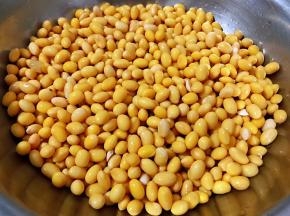 黄豆去除杂质冲洗干净沥干水份