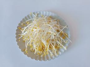 豆芽择去根部，清洗干净控干水分。