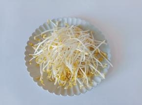 豆芽择去根部，清洗干净控干水分。