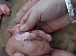 把牛蛋对半切开，外皮咬不动，给它剥掉，留嫩心部分！