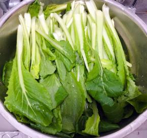 小白菜摘去根部洗净沥干水份