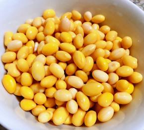 黄豆在清水中浸泡一夜泡发至饱满圆润后洗净沥干水份