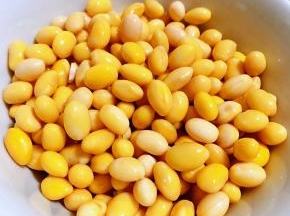 黄豆在清水中浸泡一夜泡发至饱满圆润后洗净沥干水份