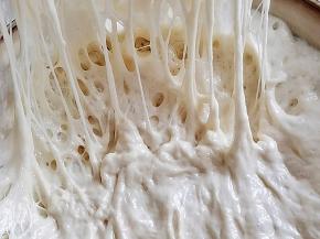 波兰种：水加酵母粉化开，加高筋面粉白砂糖搅拌至无干粉，盖上盖子发酵10小时以上。（我发酵了一夜）