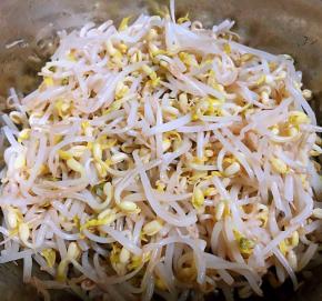 处理好的黄豆芽沥干水份备用