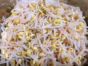 处理好的黄豆芽沥干水份备用