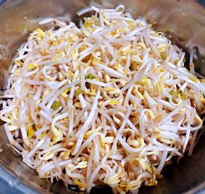 准备原材料新鲜的黄豆芽洗净沥干水份