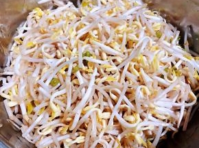 准备原材料新鲜的黄豆芽洗净沥干水份