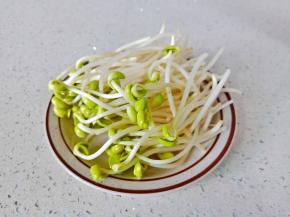 把豆芽的根择一下。