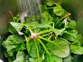 菠菜冷水冲洗两遍。