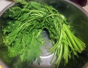 茼蒿摘好洗净沥干水份备用