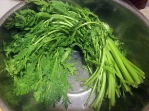 茼蒿摘好洗净沥干水份备用