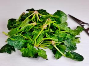 用食品剪刀把菠菜根剪掉。