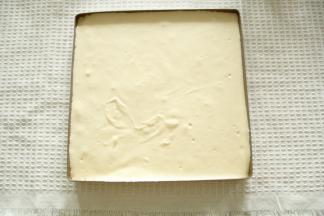 面糊从20CM高度倒入抹了薄薄一层玉米油的28*28烤盘中，晃平或者用刮板刮平，提起从高处振2下振出大气泡。