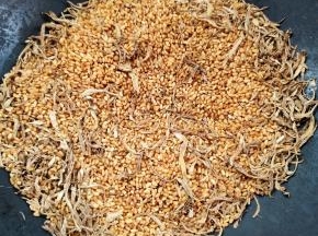 差不多炒了半个小时，大米和生姜都变成焦黄色了！整个过程一定要中小火慢慢炒，要不然容易炒糊了！泡出来的茶水就会发苦！