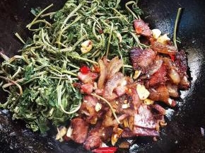 放入干香椿翻炒均匀！