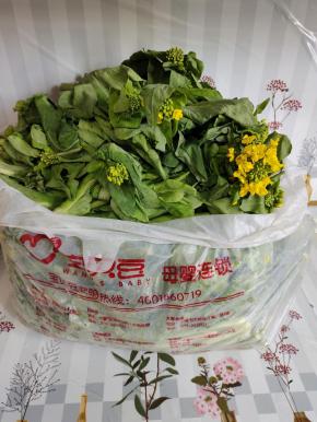 在婆婆家拿的白菜苔，好大一袋子啊！不用洗，直接拿来下锅烫就好！洗了的容易变质腐烂！