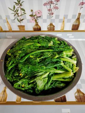 焯烫好的菜苔整齐的放在盆子里或者桶里！