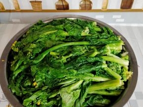 焯烫好的菜苔整齐的放在盆子里或者桶里！