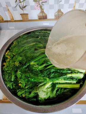 把烧开的淘米水晾至温热，倒在装菜苔的容器中！（盆里！）