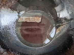 起锅烧油，放入半碗冰糖，中小火慢慢的炒糖色！！（油没过冰糖一点点就可以了！）（也可以根据自己的习惯用水来炒糖色！）